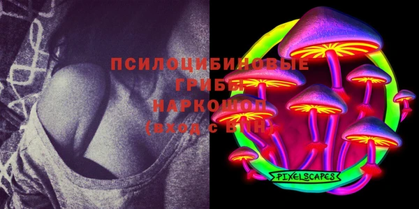 apvp Алзамай