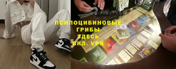 apvp Алзамай